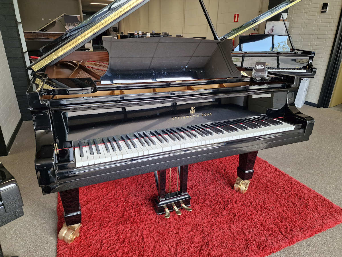 Steinway & Sons model D