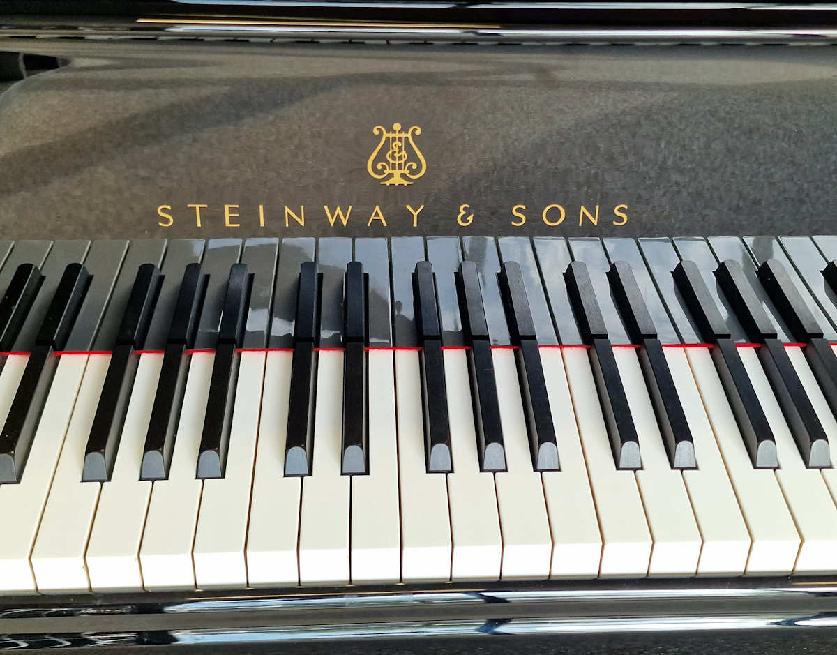 Steinway & Sons model D