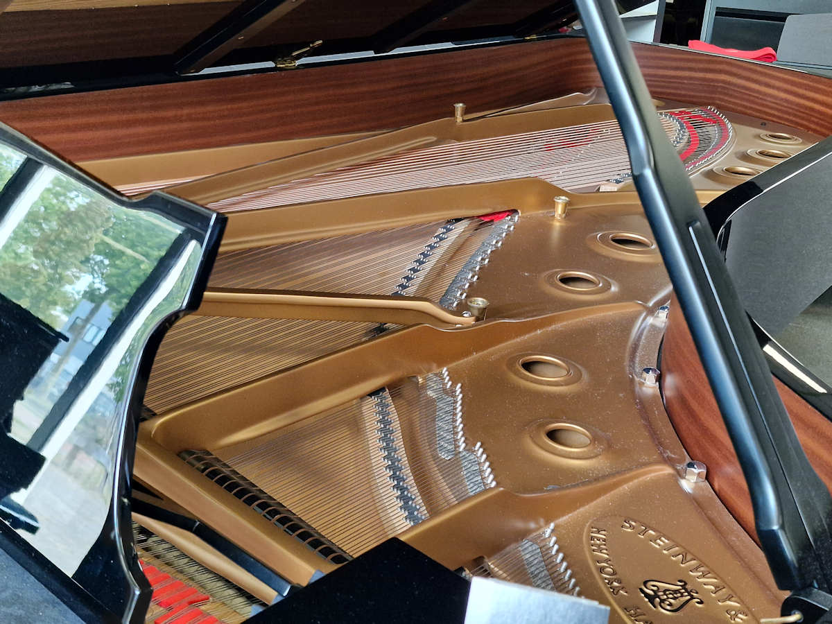 Steinway & Sons model D