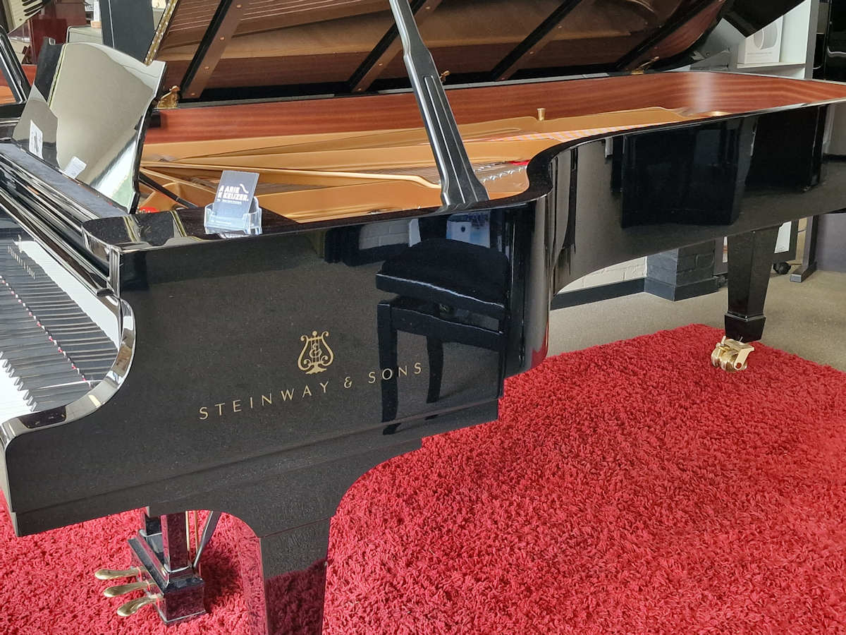 Steinway & Sons model D